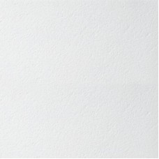 Armstrong Bioguard Plain Board