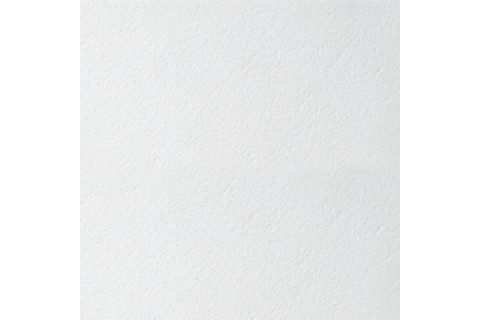 Armstrong Bioguard Plain Tegular